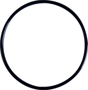 The UV Max O-Ring OR40-50 from US Water Systems Inc is a simple black circle set against a light blue background.