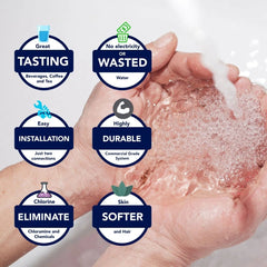 Bodyguard Commercial High - Flow Chemical Removal Filter By US Water Systems - US Water Systems