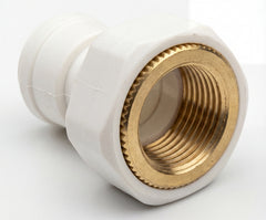 1/4" Quick Connect x 1/8" FPT John Guest Fitting - US Water Systems