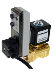 Granzow E2B15 Timer Solenoid Valve - 3/8" | E2B15 3/8 - US Water Systems