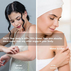 Bodyguard Water Filter & Matrixx Salt Based Water Softener System - US Water Systems