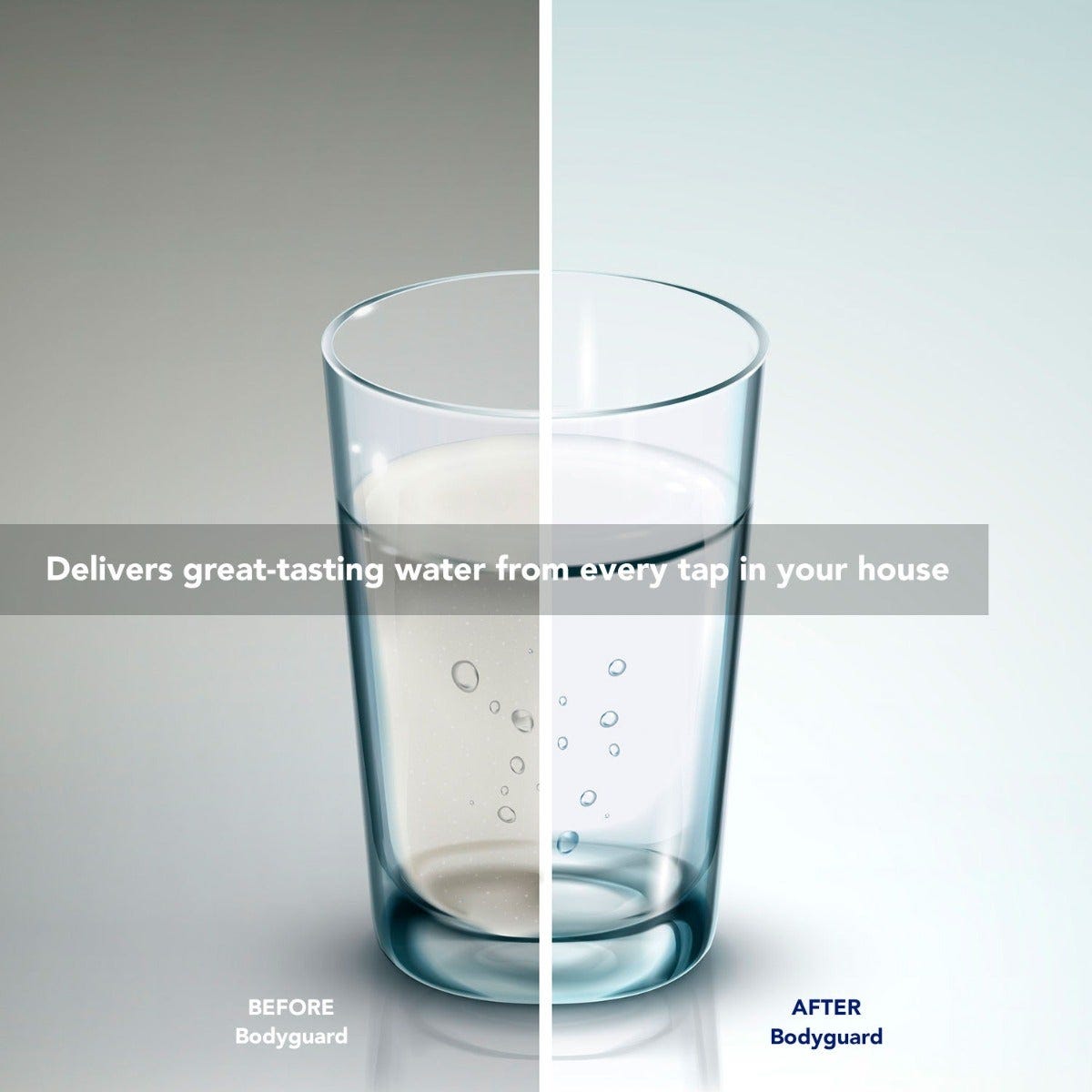 Bodyguard Whole House Water Filter & Chemical Removal System - US Water Systems