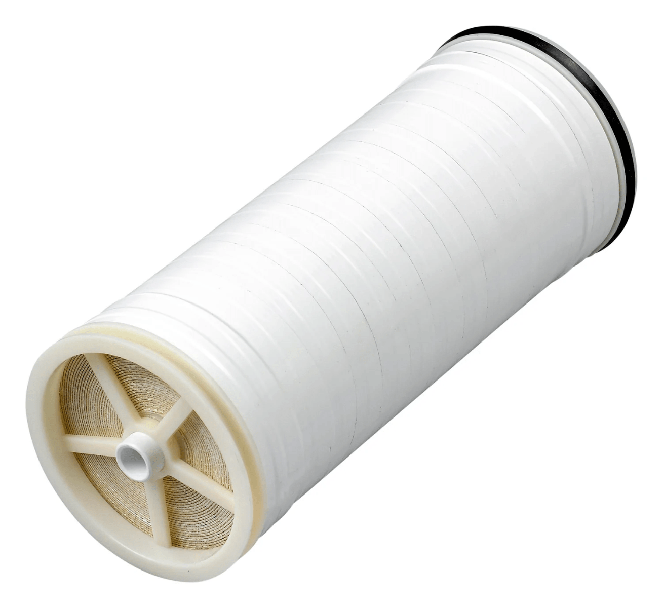 AXEON SAN1 - 4611 Sanitary Reverse Osmosis Membrane - US Water Systems