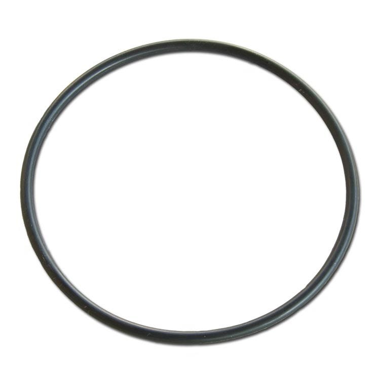 O - Ring For 4.5 x 20 Stainless Steel Filter Housing - US Water Systems