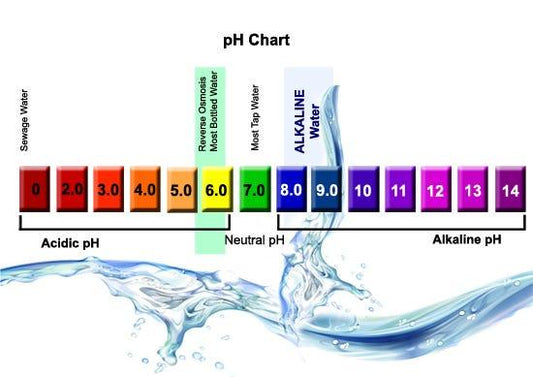 Is Alkaline Water Beneficial?