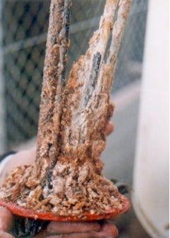 Switched From Easy Water to a Salt System - US Water Systems