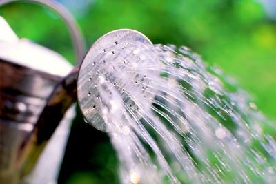 Benefits of Green Water Filters in the Home and Garden