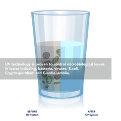 Illustration of a water glass showing the Pulsar Ultraviolet Disinfection Systems effect. Left: murky water with pathogens, labeled BEFORE UV System. Right: crystal-clear water lit by UV light, labeled AFTER Pulsar Ultraviolet Disinfection. Brand: US Water Systems Inc.