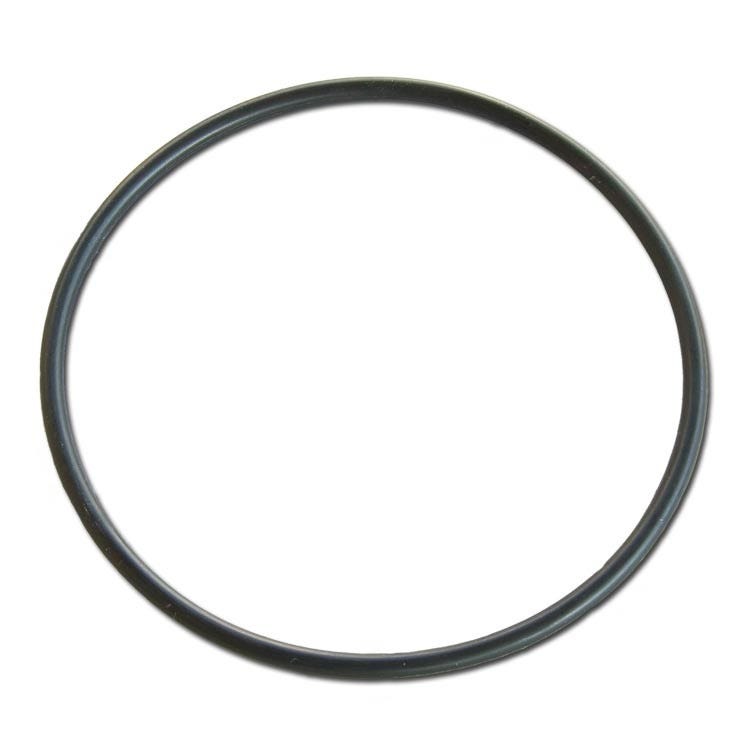 O-Ring For 4.5 x 20 Stainless Steel Filter Housing