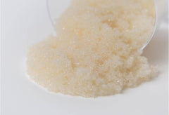 SBACR - HP Type I Anion Tannin Selective - 1 CU/FT - US Water Systems